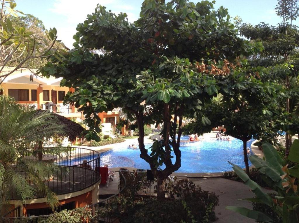 Cocomarindo Villa